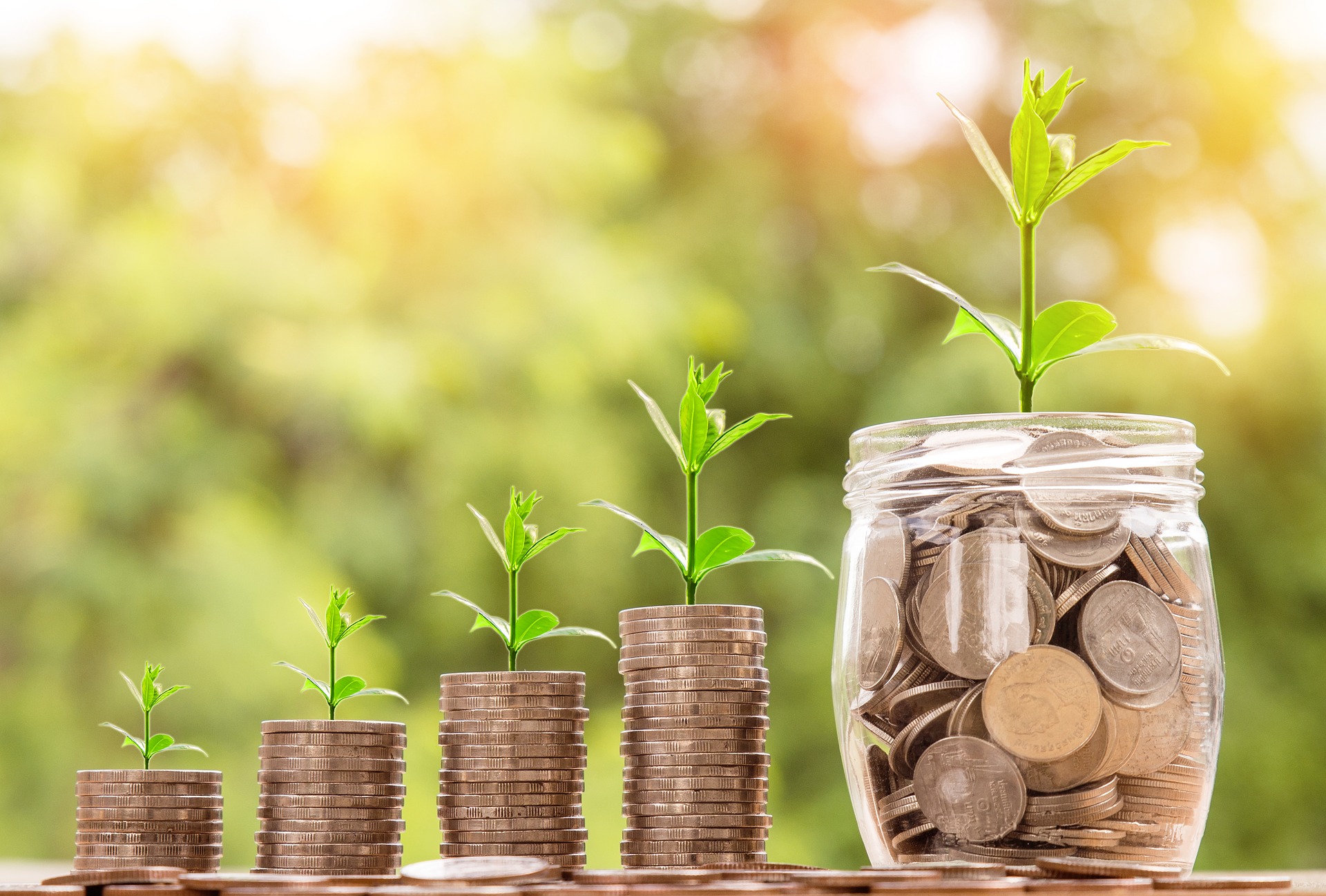 Read more about the article Top 10 Best Dividend Paying Stocks in India in 2019